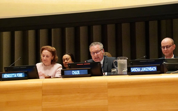 Thomas Gürber, Deputy State Secretary of the FDFA, during his speech at the Arria meeting of the UN Security Council.
